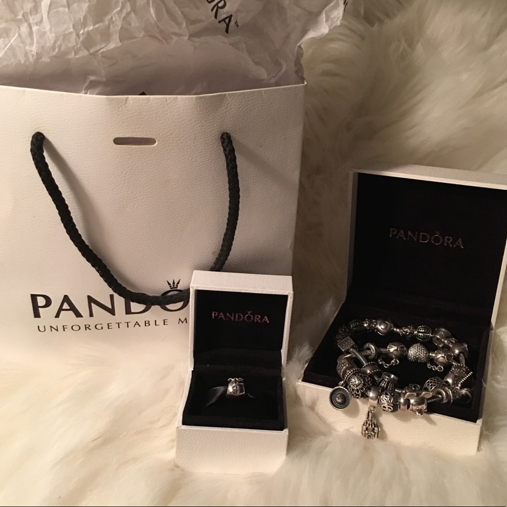 Money Bags Pandora Charm
